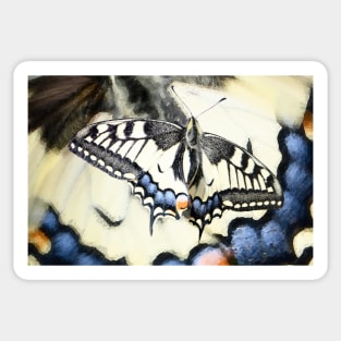 Butterfly Swallowtail / Swiss Artwork Photography Sticker